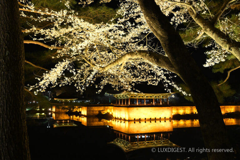 Donggung Palace and Wolji Palace in Gyeongju 260402