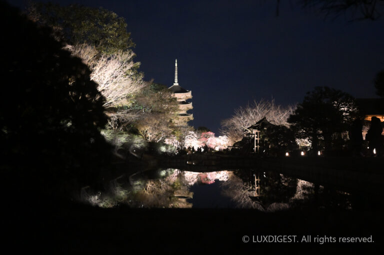 Toji Temple in Kyoto 260306